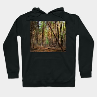 Larkins Hollow Hoodie